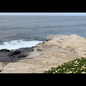 Meet your Posher, Ana